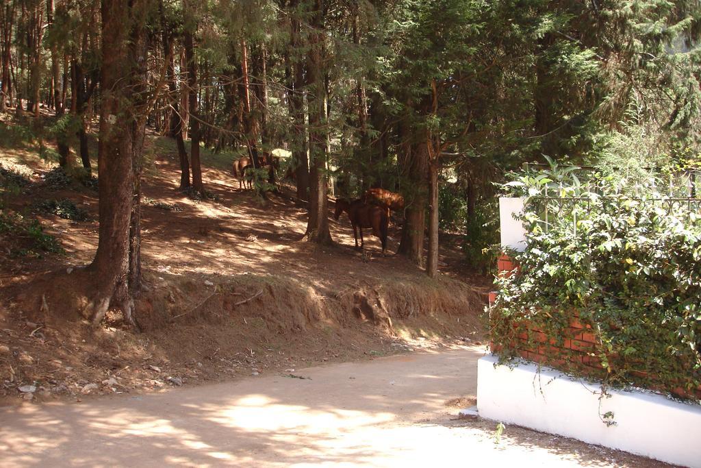 The Red House Bed & Breakfast Ooty Eksteriør bilde